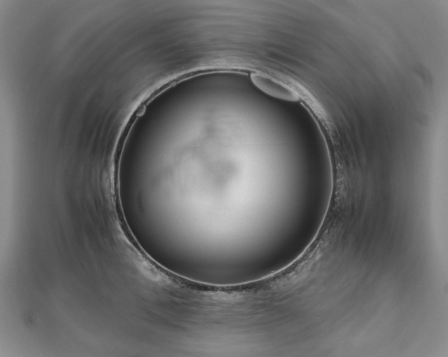 X0000112470996200908241229