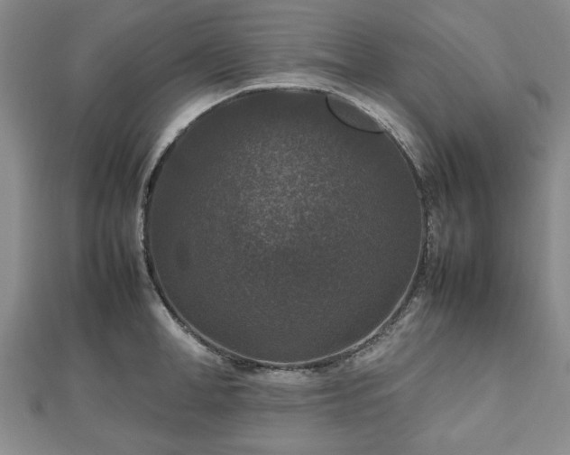 X0000112470998200908241229