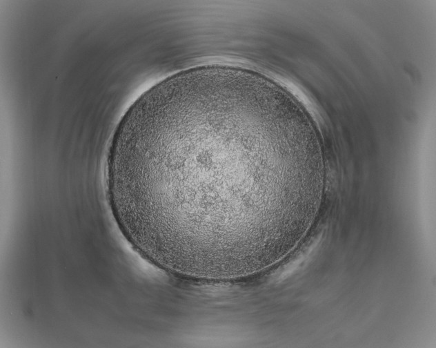 X0000112470999200908241229