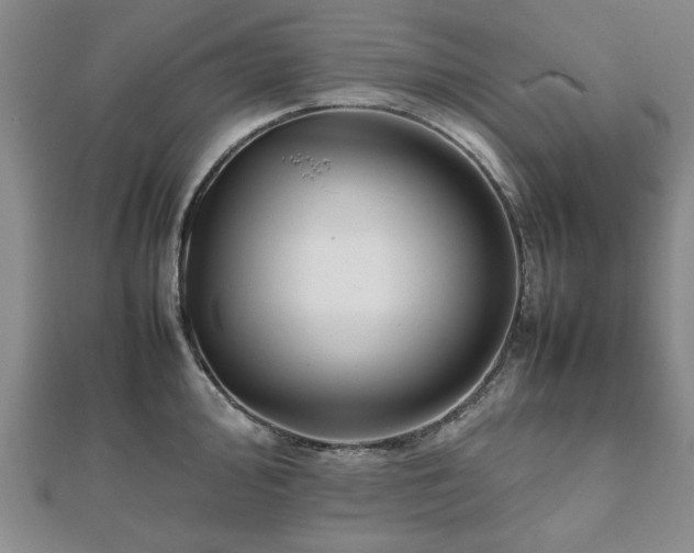 X0000112471000200908241229