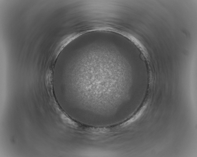 X0000112471001200908241229