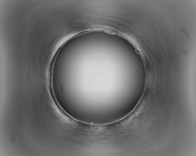 X0000112471003200908241229