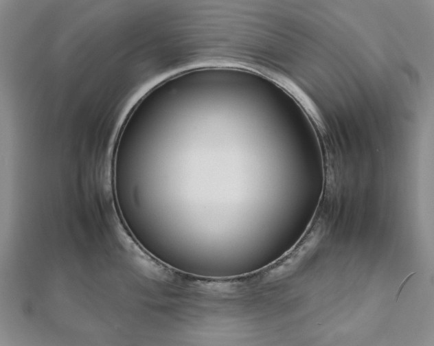 X0000112471004200908241229