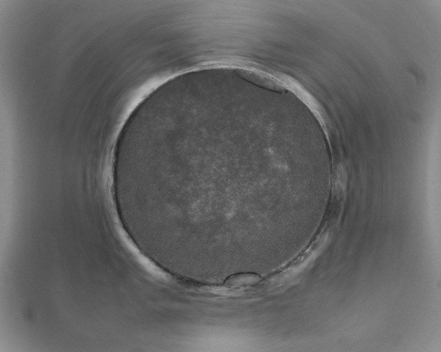 X0000112471005200908241229