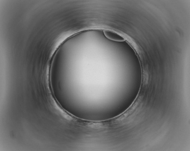 X0000112471006200908241229