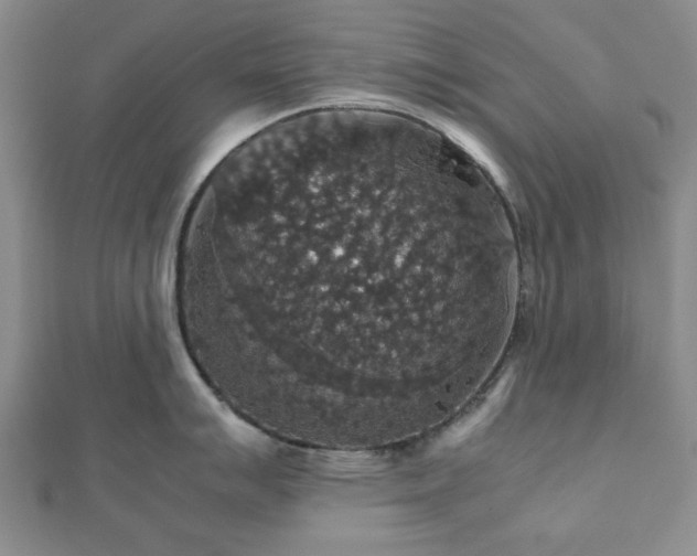 X0000112471007200908241229