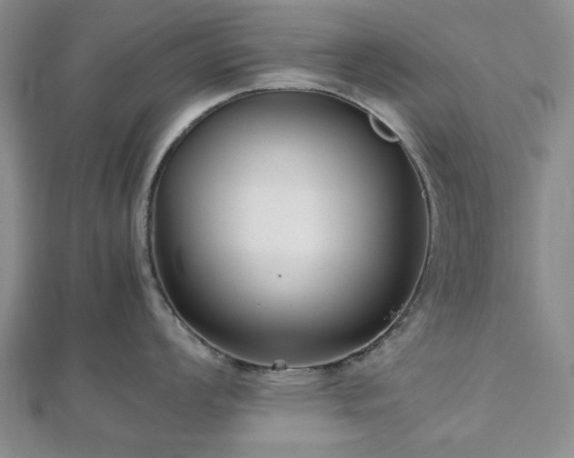 X0000112471008200908241229