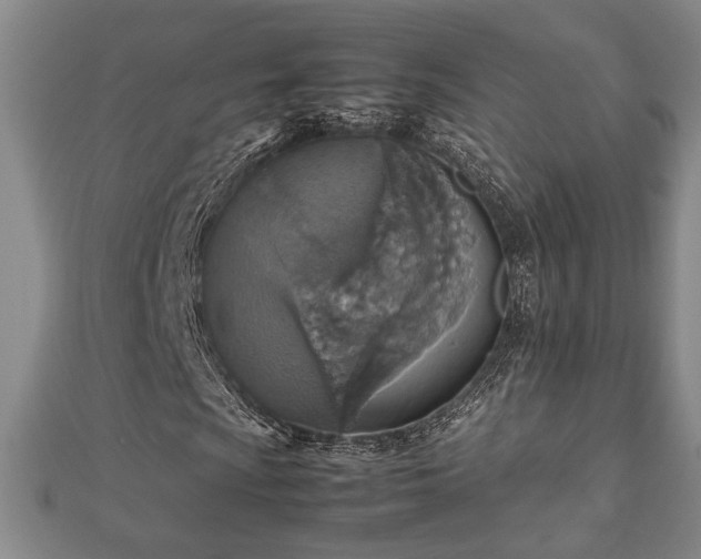 X0000112471009200908241228