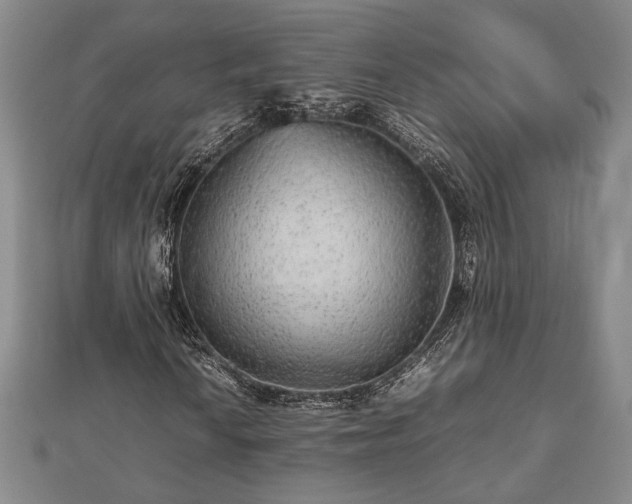 X0000112471010200908241228