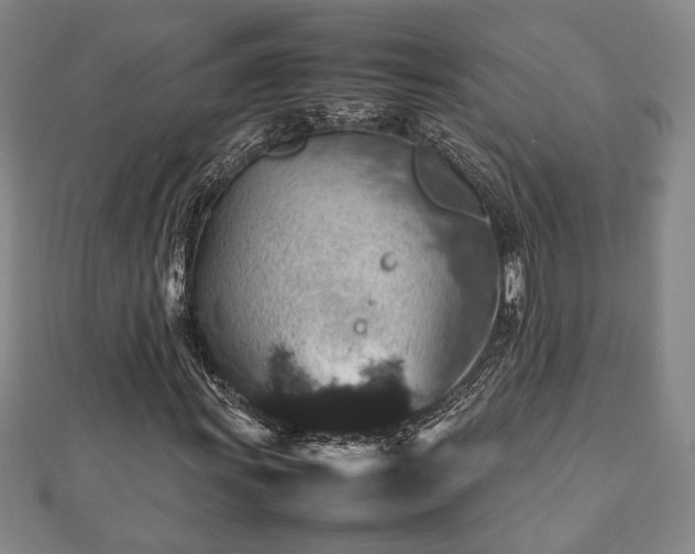 X0000112471011200908241228