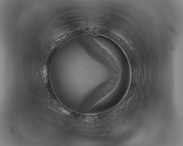 X0000112471013200908241228