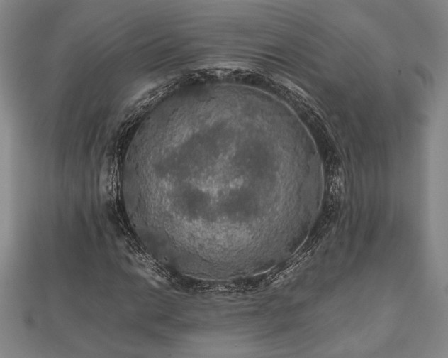 X0000112471014200908241228