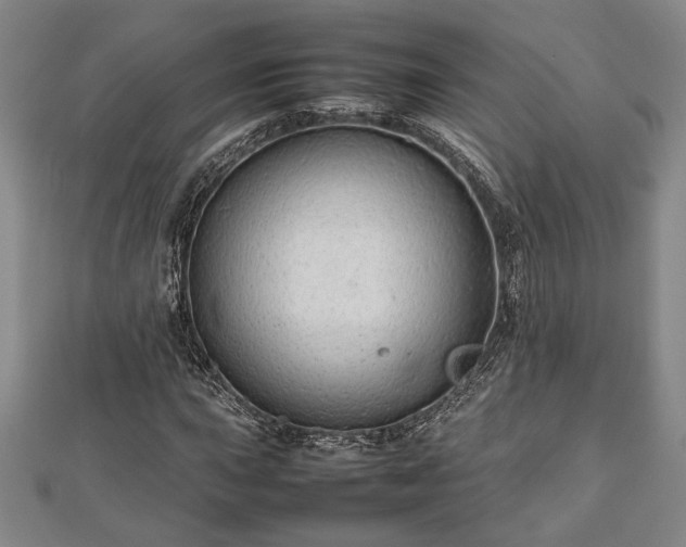 X0000112471015200908241228