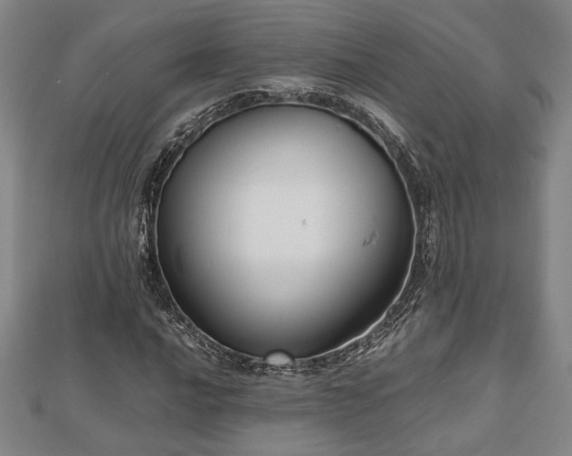 X0000112471016200908241228