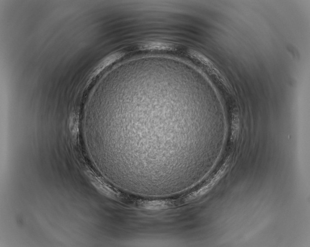 X0000112471017200908241228