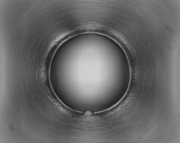 X0000112471018200908241228