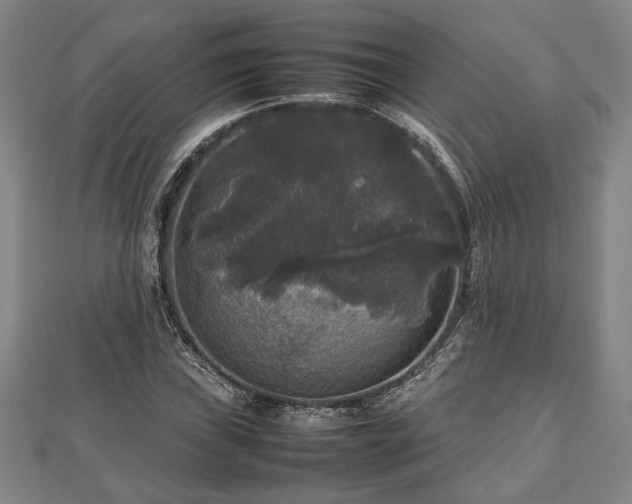 X0000112471019200908241228