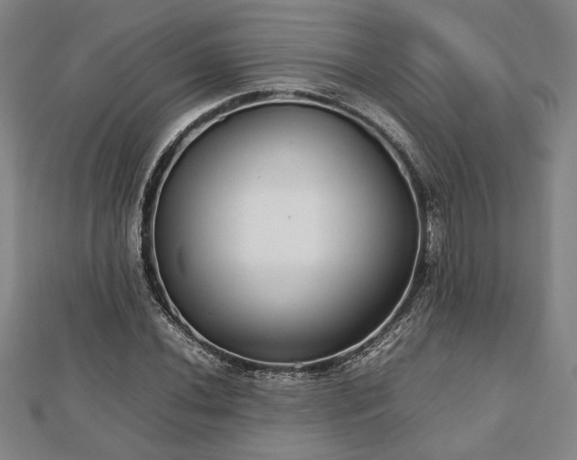 X0000112471020200908241228