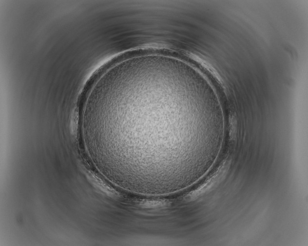 X0000112471021200908241228