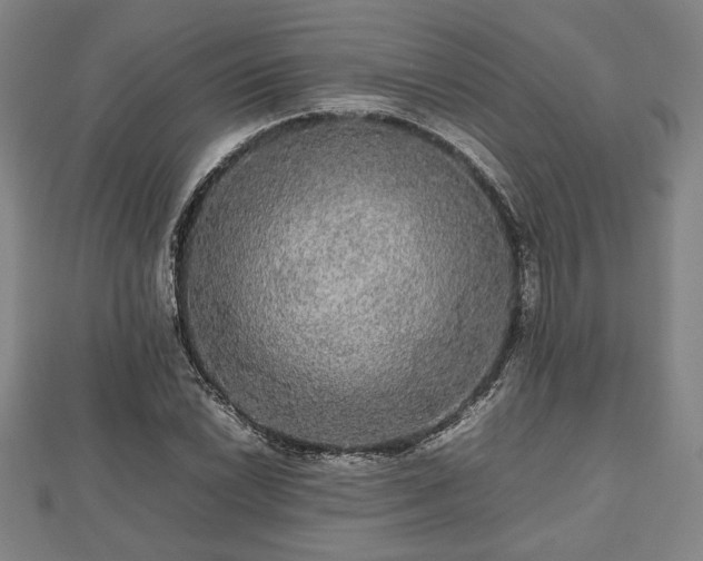 X0000112471022200908241228