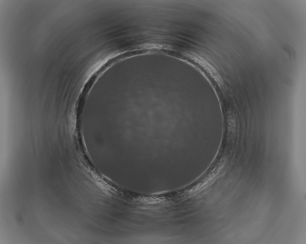 X0000112471023200908241228