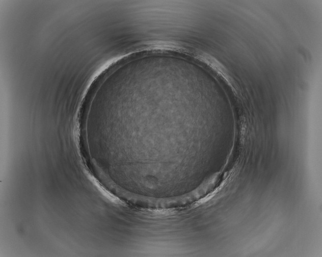 X0000112471024200908241228