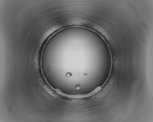 X0000112471026200908241228