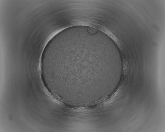 X0000112471028200908241228