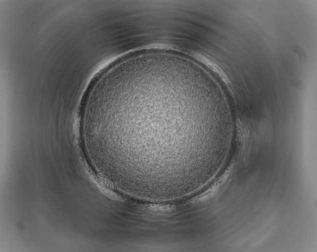 X0000112471029200908241228