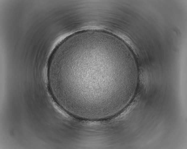 X0000112471030200908241228