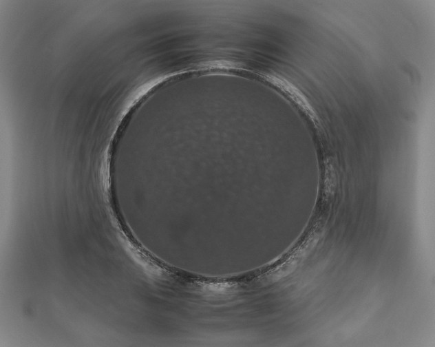 X0000112471031200908241229