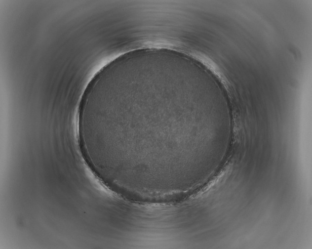 X0000112471032200908241229