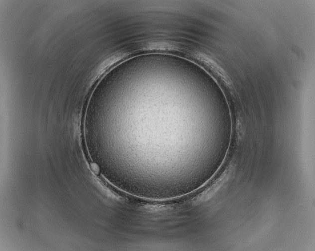 X0000112471033200908241229