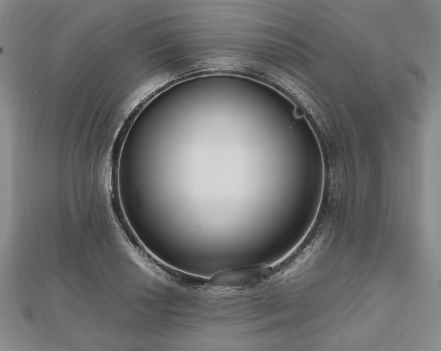 X0000112471034200908241229