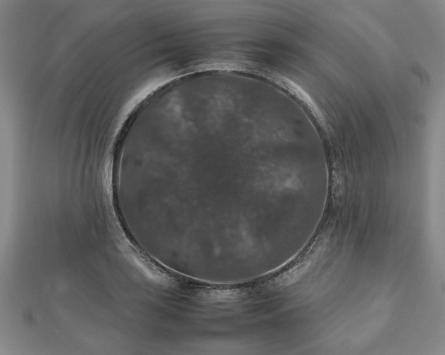 X0000112471035200908241229