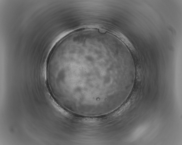 X0000112471036200908241229