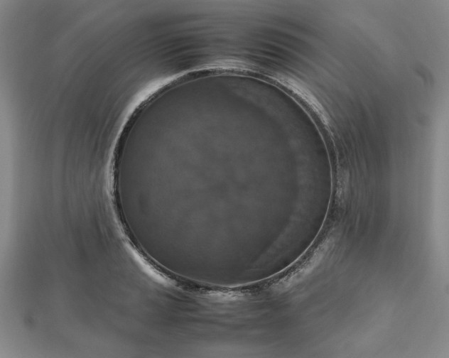 X0000112471037200908241229