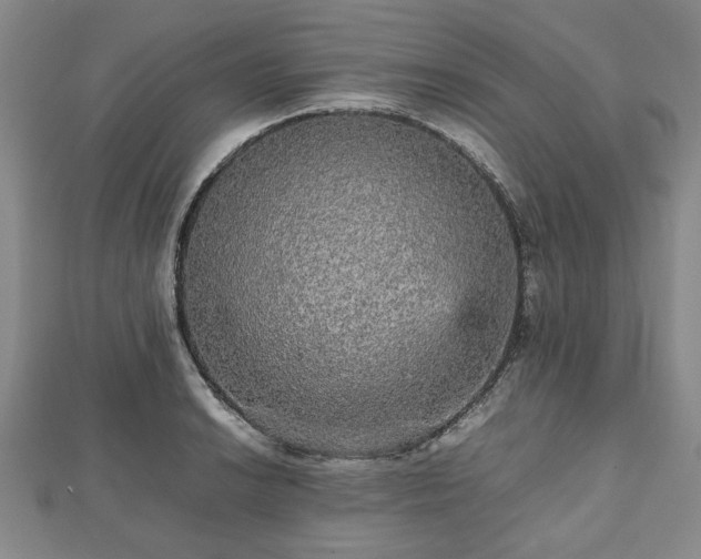 X0000112471038200908241229