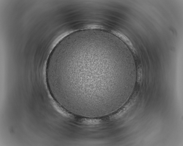 X0000112471039200908241229