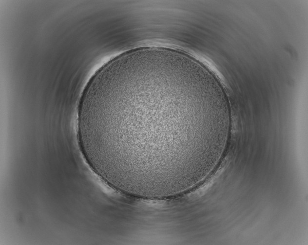 X0000112471040200908241229