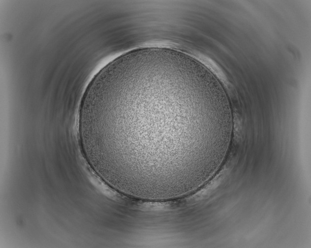 X0000112471044200908241229