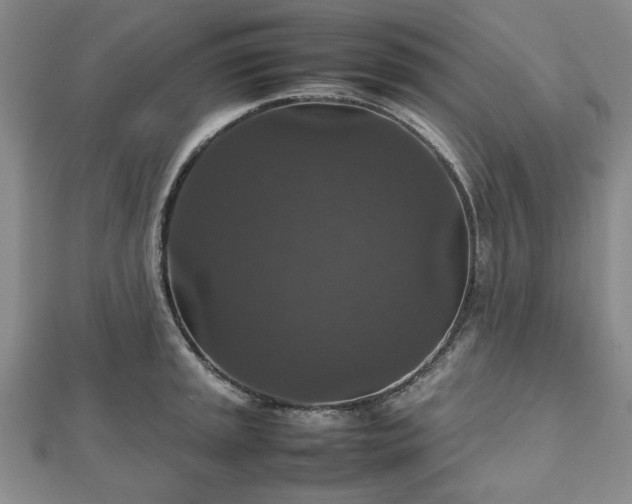 X0000112471045200908241229