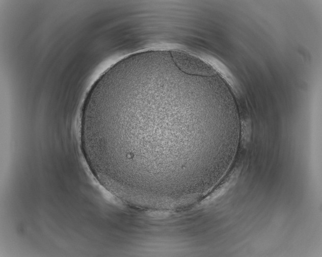 X0000112471046200908241229