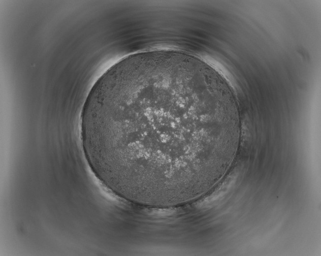 X0000112471047200908241229