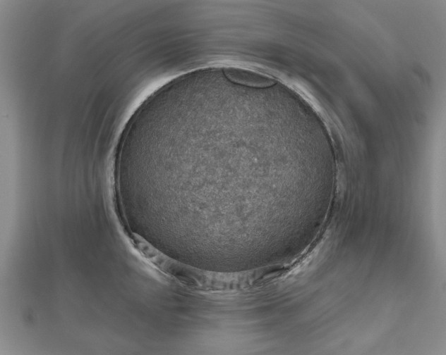 X0000112471048200908241229