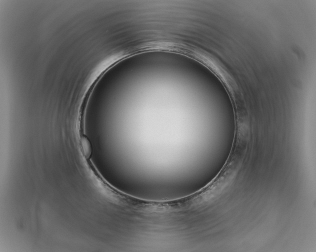 X0000112471050200908241229