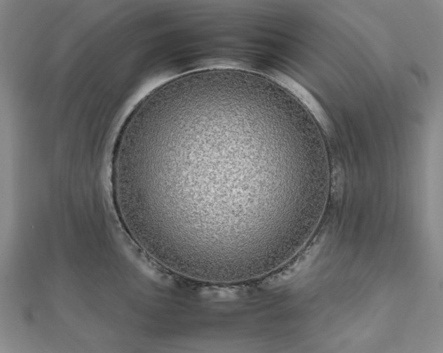 X0000112471051200908241229