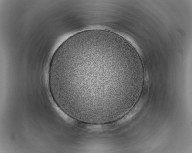 X0000112471054200908241229