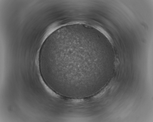 X0000112471055200908241229