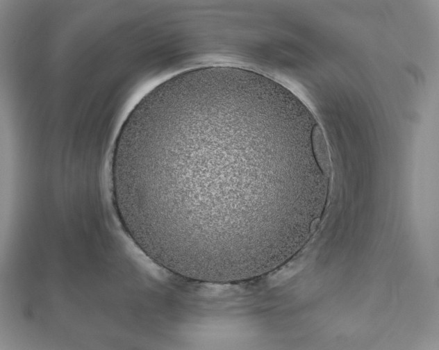 X0000112471056200908241229